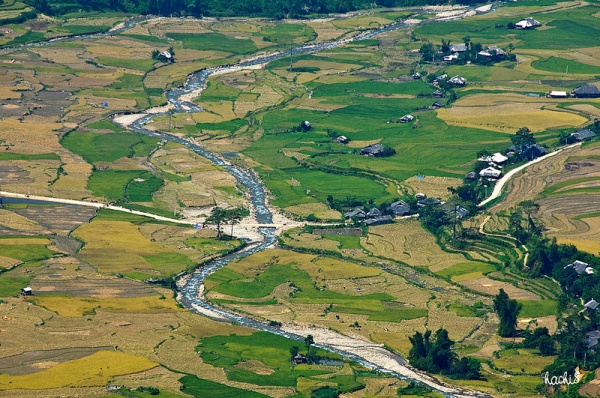 Những d&ograve;ng suối đẹp duy&ecirc;n d&aacute;ng ở T&acirc;y Bắc